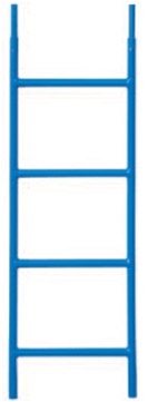 3' LADDER